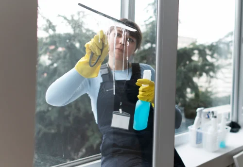 Nettoyage de vitres intérieures et extérieures à Saint-Georges-d'Espéranche